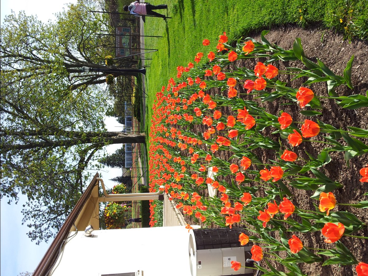 School of Gardening22